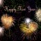 Happy New Year; What to Expect from BCG in 2012! happy-new-year 2012