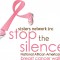 Sisters Network Inc. 3rd Annual National African American Breast Cancer 5k Walk/Run Houston, TX April 14th, 2012; Register Now! 44
