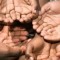 BCG Giving Tips: How To Start A Charity charity_single_column